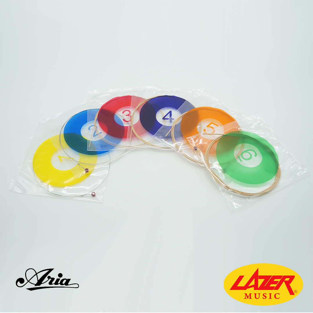 Aria AGS-200C Acoustic Guitar Strings